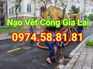 nao-vet-cong-tai-gia-lai